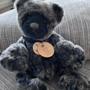 CHARLIE BEARS HARVEY