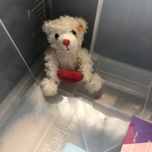 Steiff 014000