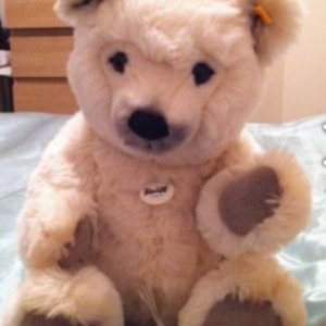 STEIFF POLAR BEAR 010613