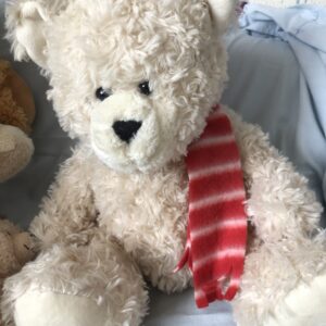 BIRTHDAYS BEAR